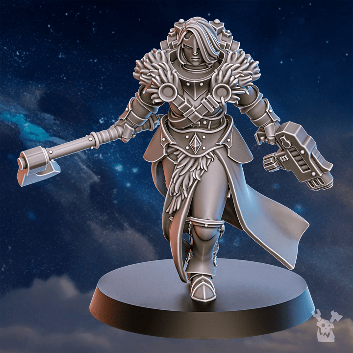 Silvermoon War Sisters Dakkadakka WhiteFangs Whole Troops Proxy