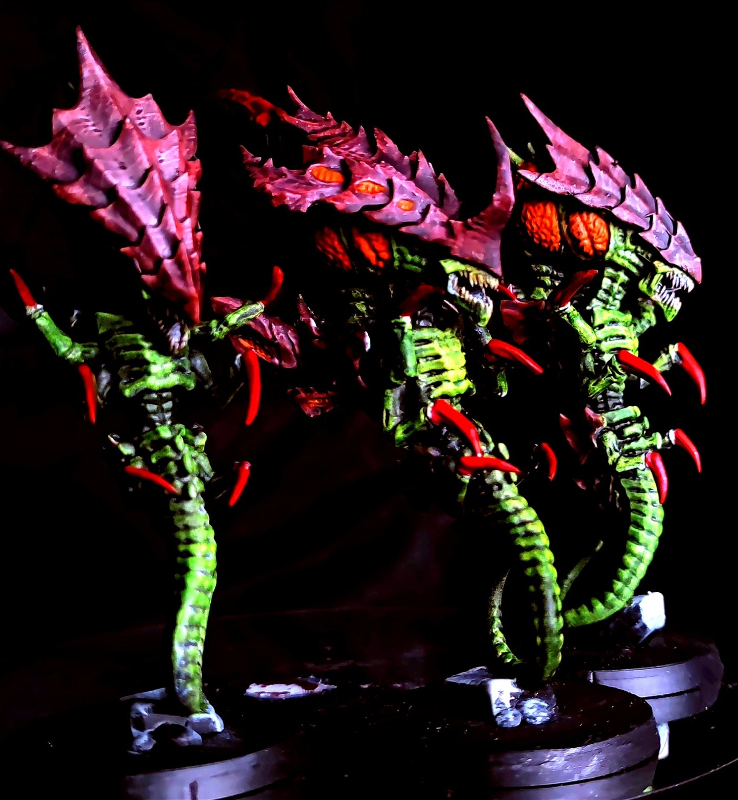 Space Bugs Adventskalender