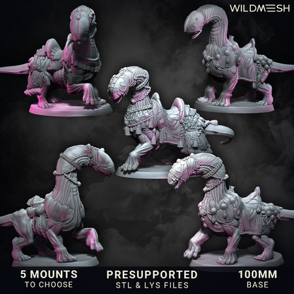 TwiceHead SnakeHorse Proxy