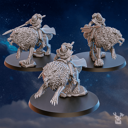 Silvermoon War Sisters Dakkadakka WhiteFangs Wolf Rider Proxy