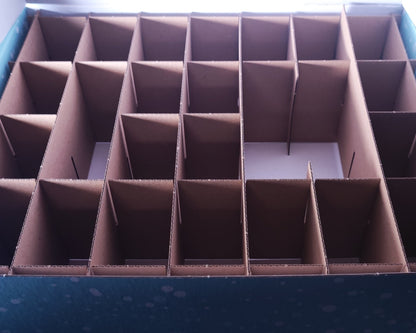 Space Bugs Adventskalender