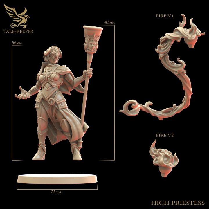 Trench Crusade - Heretic Priest(Proxy) - Heretic Legion